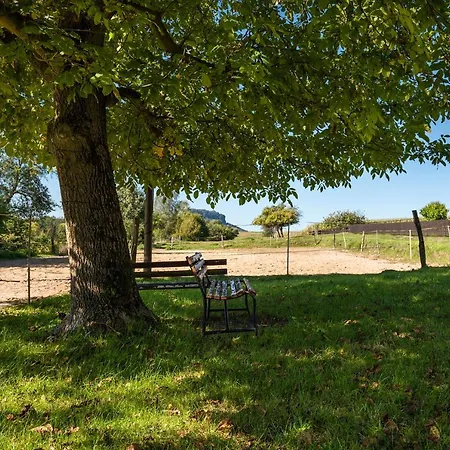 - Sauna, Balkon, Netflix, Parkplatz Porschdorf